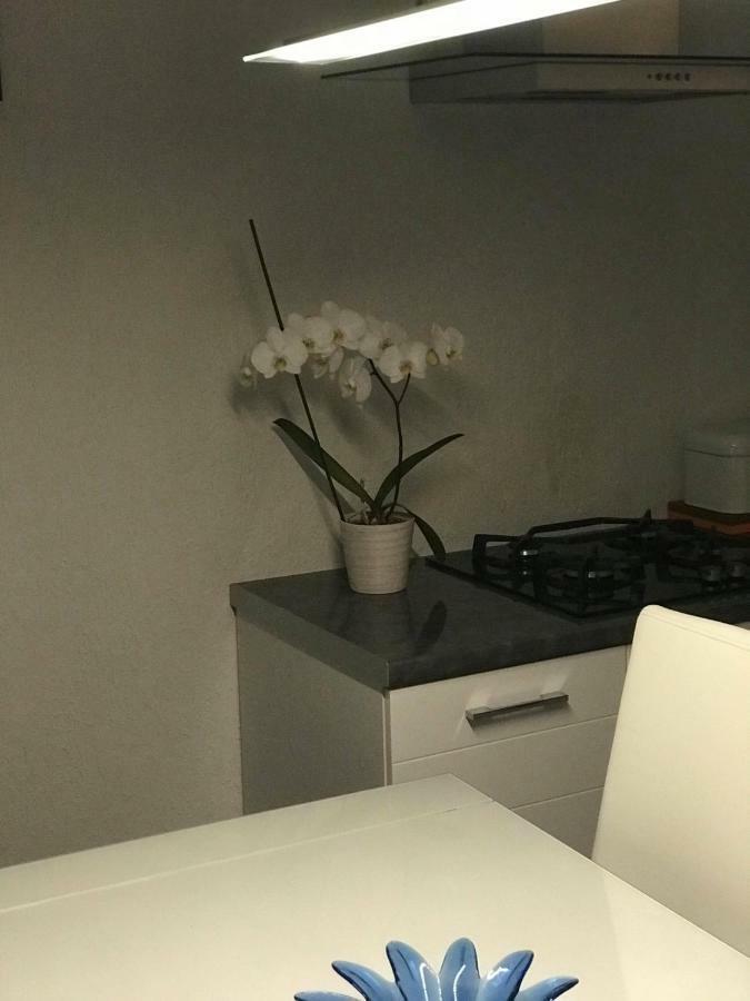 Apartman Rijeka